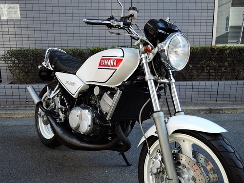 RZ250 カスタム