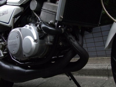 RZ250 RZ250